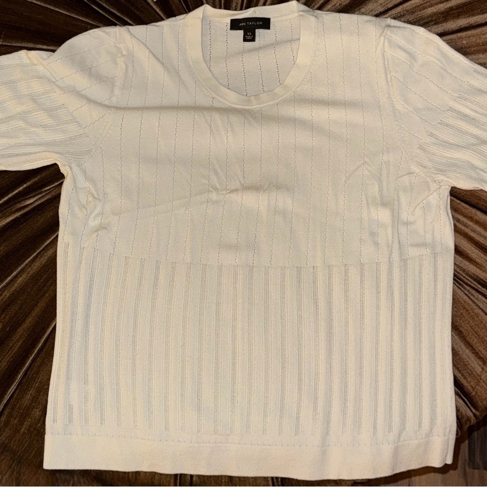 Ann Taylor Ivory Knit Top